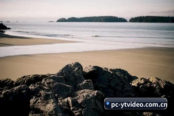 爆料网成型